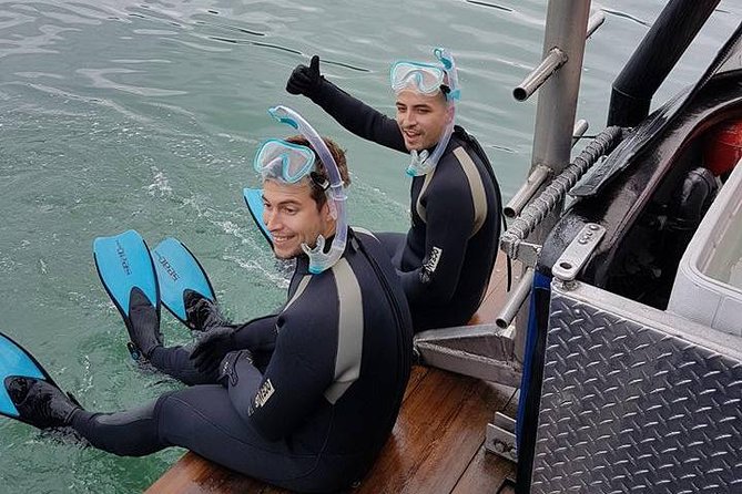 Snorkel, Kayak, and Seal Adventure: Vancouver Boat Tour - Who Should Book, and Who Might Skip the Kayak