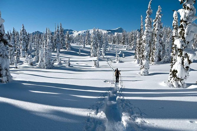 Snowshoe Through Vancouver's Winter Wonderland - From Burrard Station to BC Snow Trails in One Smooth Morning