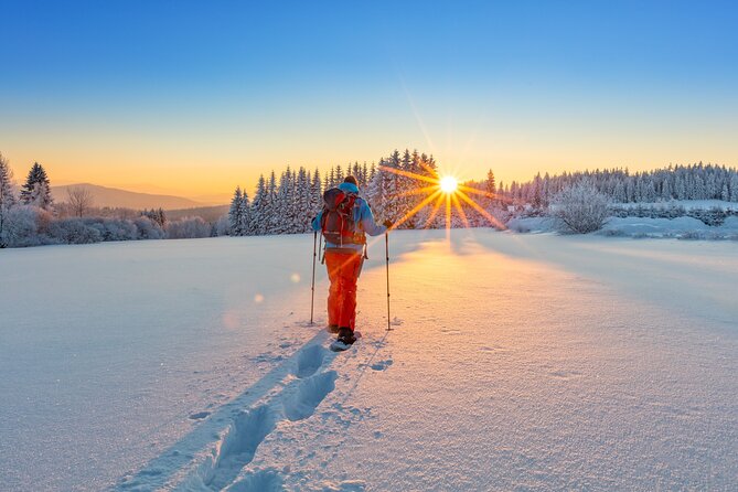 Snowshoeing at The Top of The Sea to Sky Gondola - Why snowshoeing here feels different