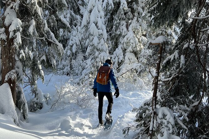 Snowshoeing at The Top of The Sea to Sky Gondola - Stop 1: Sea to Sky Highway views on the way up