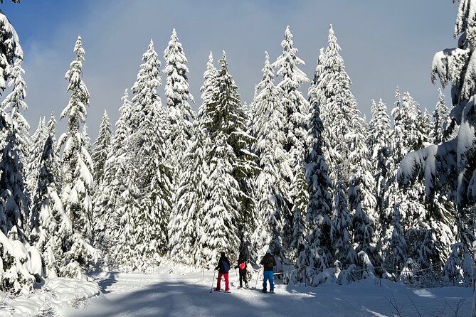 Snowshoeing at The Top of The Sea to Sky Gondola - Sky Pilot suspension bridge, and the short pause that changes everything