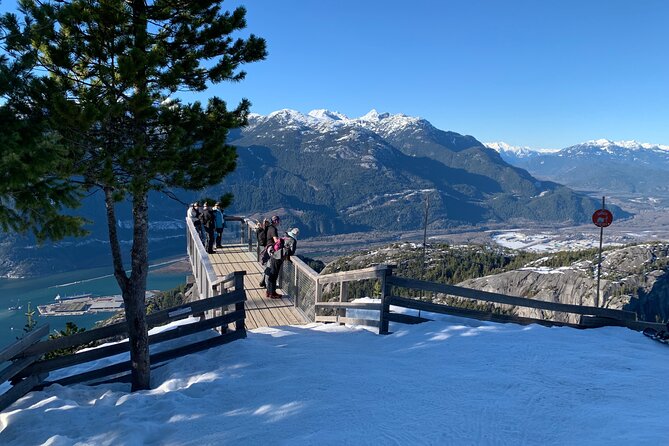 Snowshoeing at The Top of The Sea to Sky Gondola - Guide matters: Adrian’s style, photos, cookies, and calm coaching