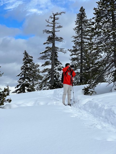 Snowshoeing At The Top Of The Sea To Sky Gondola - Food and drink: plan this part yourself