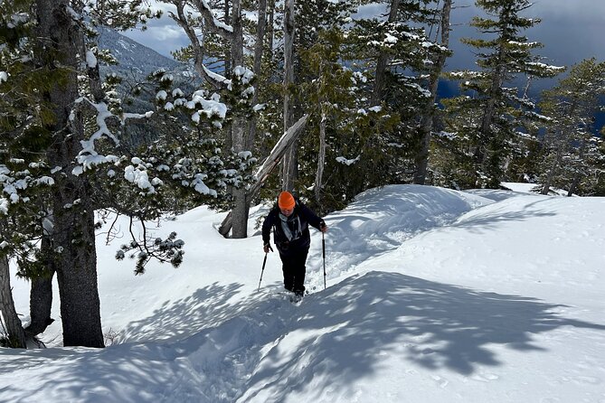 Snowshoeing At The Top Of The Sea To Sky Gondola - Door-to-door in the Sea to Sky corridor: the part you don’t have to plan