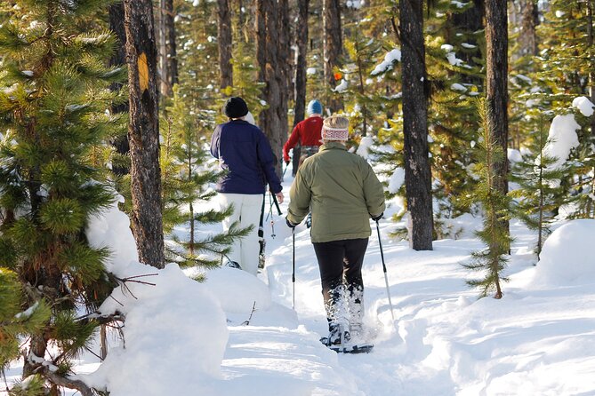 Snowshoeing In Vancouver's Winter Wonderland - How the Small Group (Up to 6) Changes Everything on Snowshoes