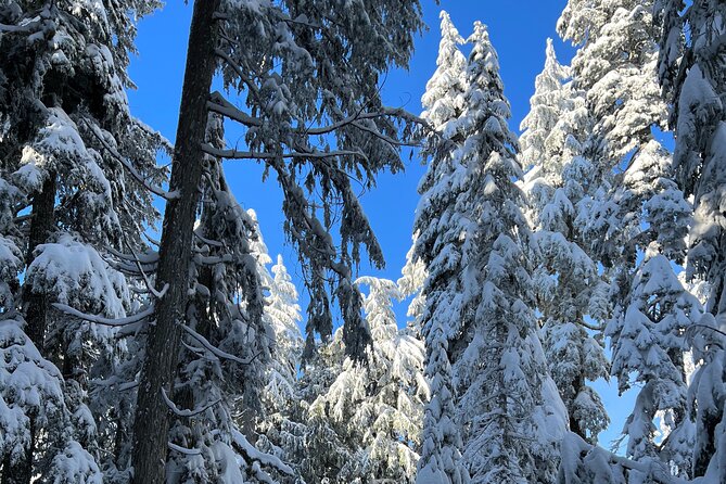 Snowshoeing In Vancouver's Winter Wonderland - Timing and What Fills the Gaps During the 4-Hour Window