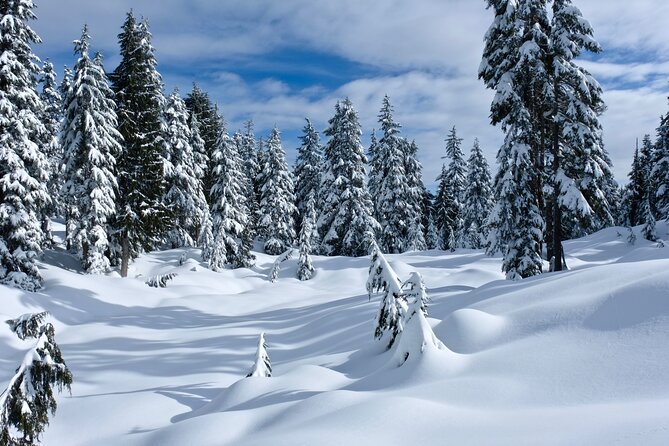 Snowshoeing In Vancouver's Winter Wonderland - Fitness Level, Weather Limits, and Who This Tour Fits Best