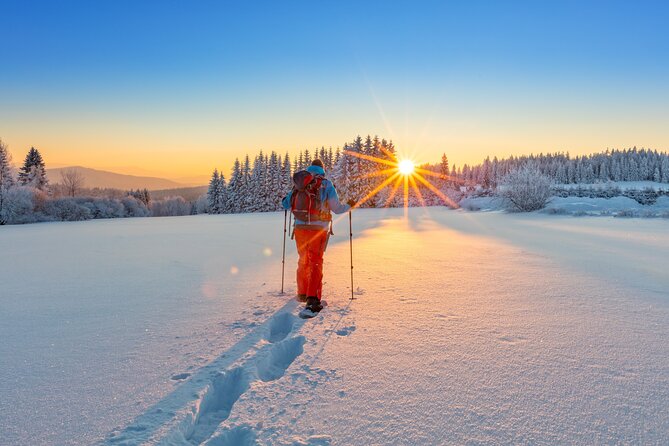 Snowshoeing In Vancouver's Winter Wonderland - Should You Book This Snowshoe Tour?
