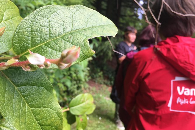 Spoken Treasures: Stanley Park Indigenous Walking Tour - Timing and Weather: How to Plan Around Select Days in Summer