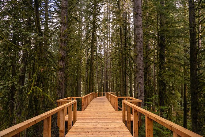 Squamish Canyon - Key things to know before you go