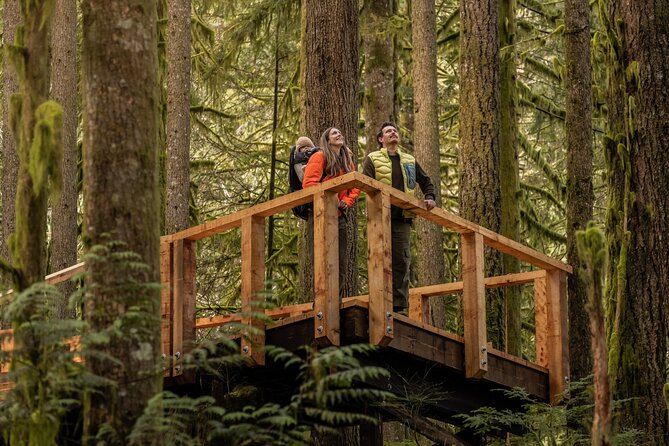Squamish Canyon - Squamish Canyon Walkway: what you are really signing up for
