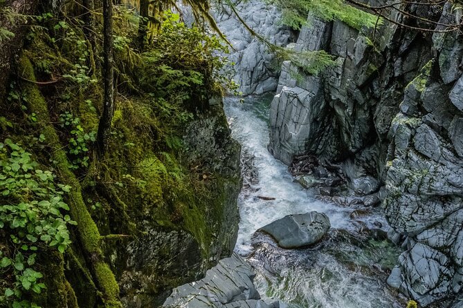 Squamish Canyon - Forest Lounge and the cafe halfway through: a rainy day strategy
