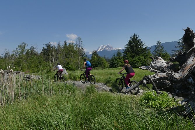 Squamish Discovery Eco-tour - E-bike comfort and control on a small-group ride
