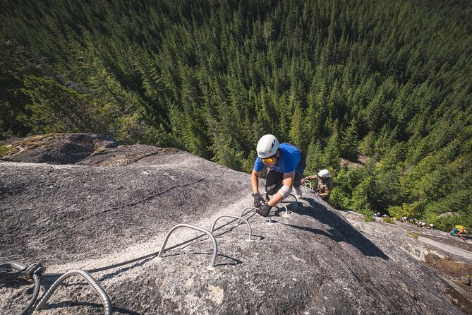 Squamish Via Ferrata Adventure - The Quick Forest Stretch: Sea to Summit Trail in Old Growth