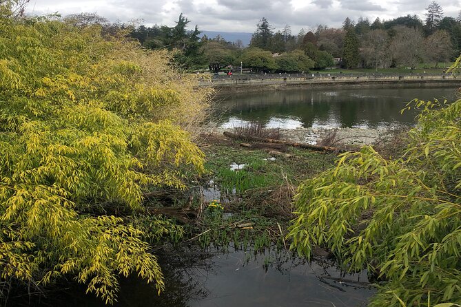 Stanley Park Bike Adventure with Lux Car Pick Up Affordable Easy - Totem Poles and the classic Stanley Park moments you actually want
