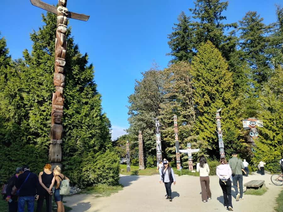 Stanley Park CarTour:SmallGroup/Comfort&CheaperThan BikeTour - Hollow Tree to Third Beach: where the tour slows down