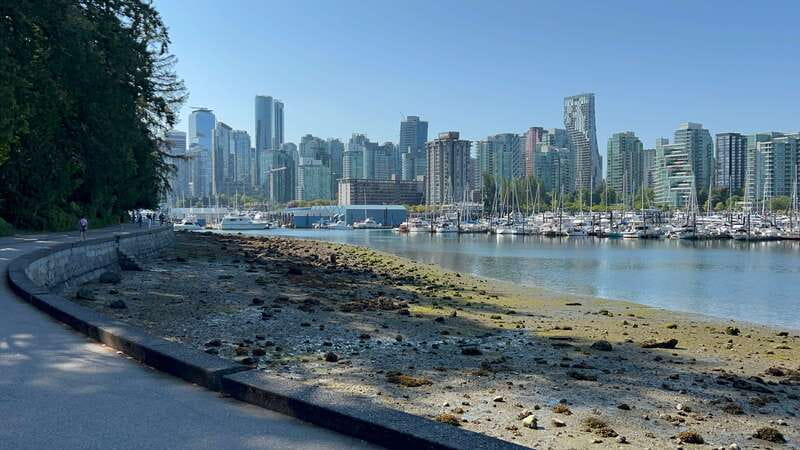 Stanley Park EUC & E-scooters loop tour - The 4-hour pacing: ride time, short breaks, and not feeling rushed