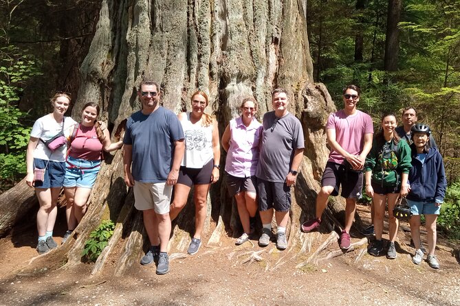 Stanley Park Highlights 2.5 Hour Walking Tour - A 2.5-hour hit of Vancouver, from Hollywood lore to quiet lakes