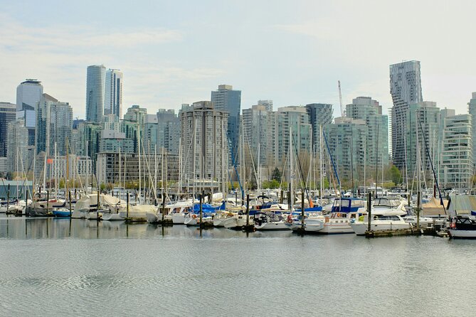Stanley Park Highlights 2.5 Hour Walking Tour - Stop 3: The Totem Poles, 25 minutes of meaning and context