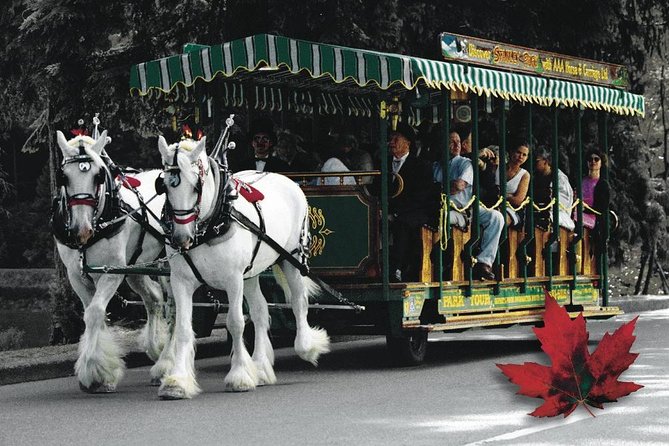 Stanley Park Horse Drawn Tour in Vancouver - A Slower Way to See Stanley Park, From Park Drive