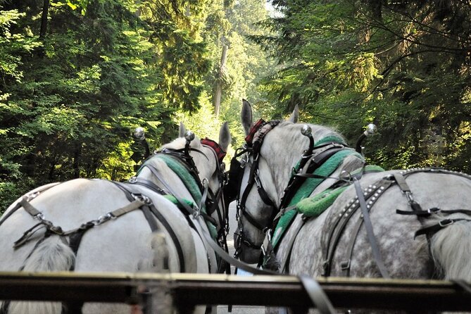Stanley Park Horse Drawn Tour in Vancouver - Where You Board at 735 Stanley Park Dr (And Why It Helps)