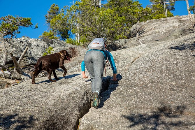 Stawamus Chief Hike & Local Brewery Tasting - The quick bridge-history stop that adds context