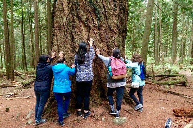 Talking Trees: Stanley Park Indigenous Walking Tour Led by a First Nations Guide - Getting the most out of your Talking Trees walk