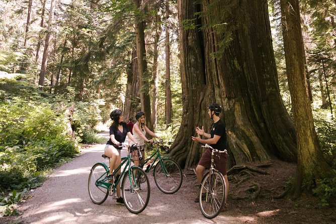 The Stanley Park Bicycle Tour by Cycle City Tours - Cruising the Vancouver Seawall: skyline, mountains, and water views
