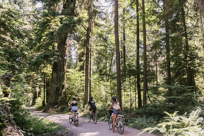 The Stanley Park Bicycle Tour by Cycle City Tours - Price and value for $81.35: what you’re really paying for