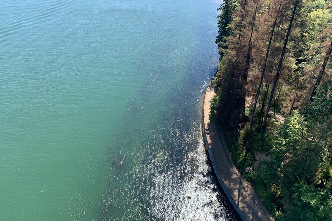 The Ultimate Stanley Park E-Bike Tour - Price and value: is $65 a smart way to see Stanley Park?