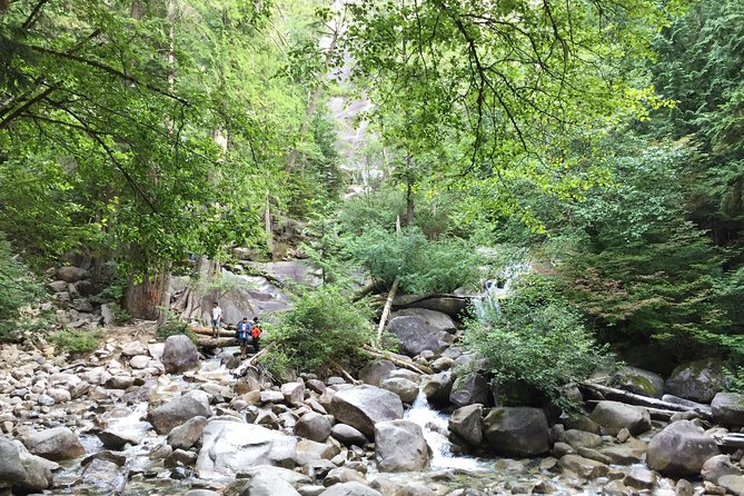 Unforgettable Whistler ( Full Day Private Tour) - Price and value: what $442.89 buys you in real life