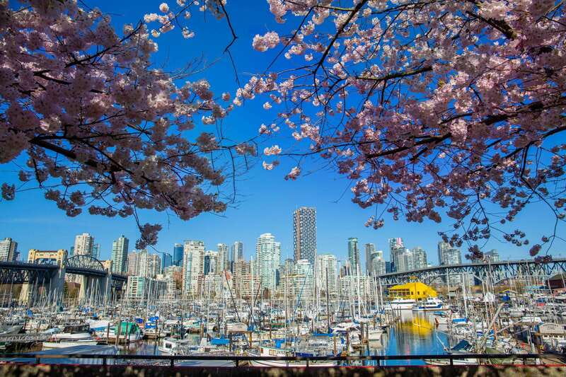 Vancouver: 24 or 48-Hour Hop-On Hop-Off Trolley Tour Pass - Price and value: what $44 gets you