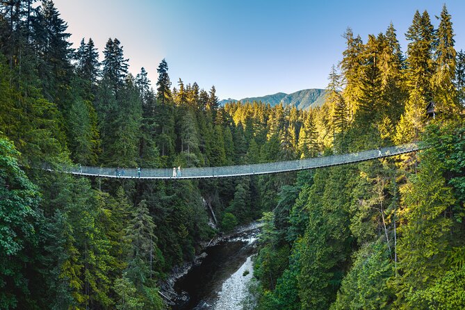 Vancouver and Capilano Suspension Bridge, a Soft Adventure Tour - Capilano Suspension Bridge Park: the bridge, cliff views, and First Nations art