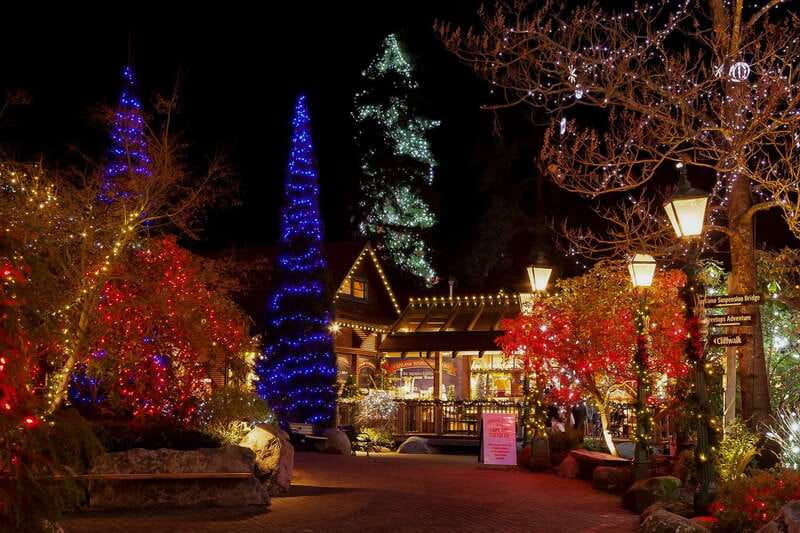 Vancouver and Capilano Suspension Bridge Canyon Lights - Key highlights worth planning around