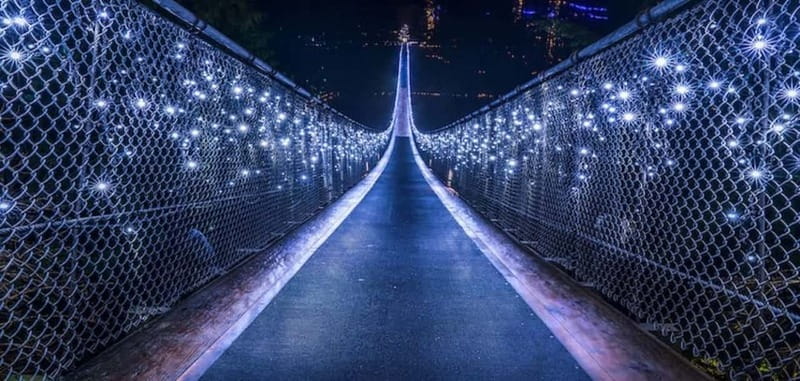 Vancouver: Attractions by Twilight Guided Tour with Dinner - Capilano Suspension Bridge, then Cliffwalk: adrenaline with built-in time for photos
