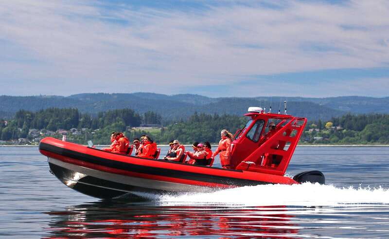 Vancouver, BC: Whale Watching Tour Small Zodiac with Guide - Why this small zodiac setup works for whale spotting