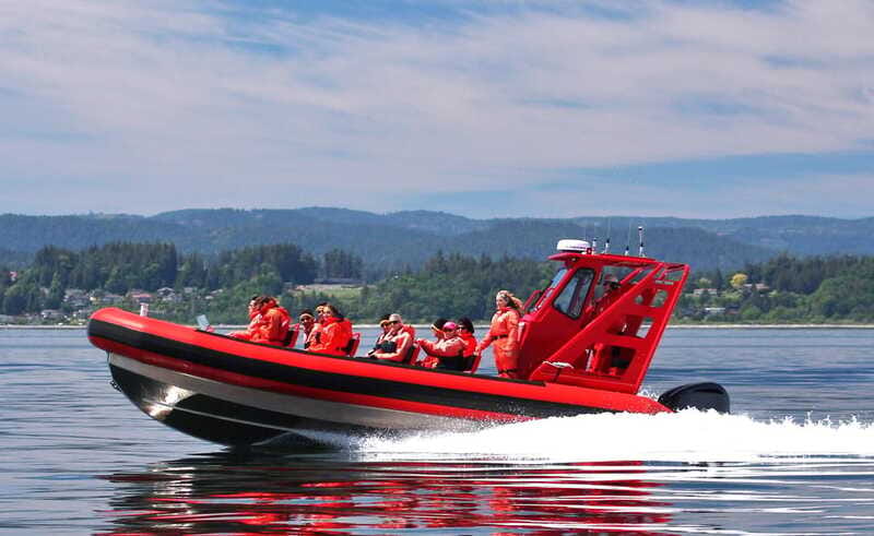 Vancouver, BC: Whale Watching Tour Small Zodiac with Guide - Should you book this whale watching tour from Vancouver?