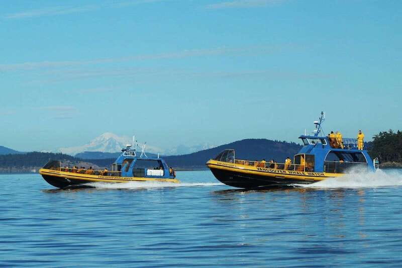 Vancouver, BC: Whale Watching Tour with Guide - Check-in, Steveston area timing, and how to avoid the first-day scramble