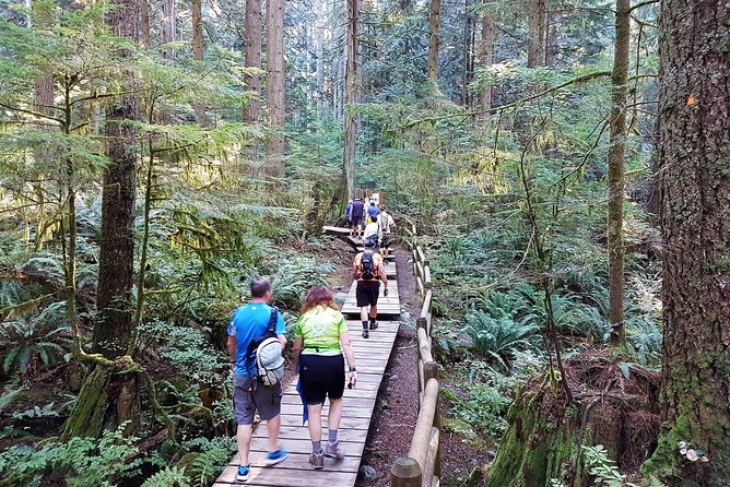 Vancouver Biking and Hiking Tour including Lunch - Stop 2: Baden-Powell Trail walking, rainforest rhythm, and regrouping