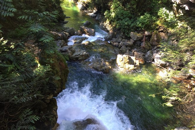 Vancouver Biking and Hiking Tour including Lunch - The transition moment: from steps to bike time