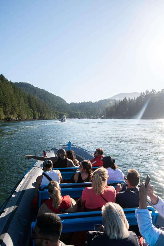 Vancouver: Boat to Bowen Island on UNESCO Howe Sound Fjord - Who this tour suits best, and who should think twice