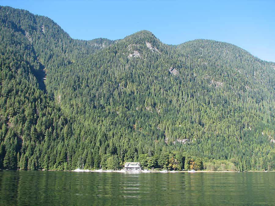 Vancouver Brunch Cruise - The brunch buffet: what you get, what people love