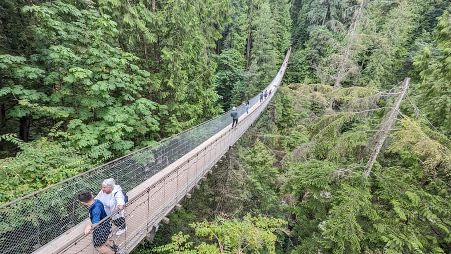 Vancouver: Capilano Bridge, Cleveland Dam & Lynn Canyon Tour - Why This North Shore and Stanley Park Day Works