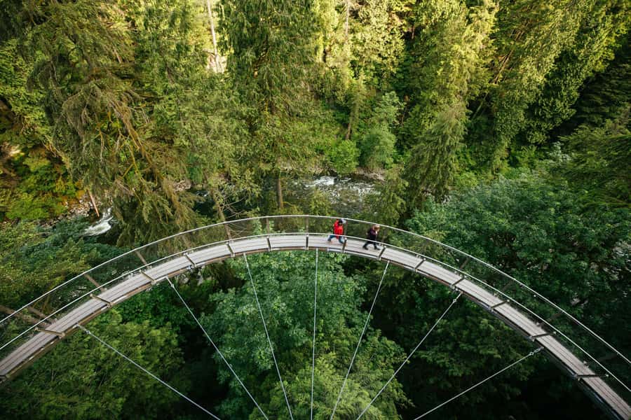 Vancouver: Capilano Bridge, Cleveland Dam & Lynn Canyon Tour - Capilano River Hatchery: Salmon Life Cycle, Up Close