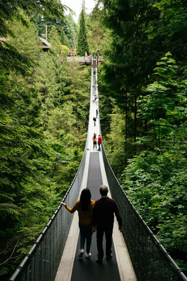 Vancouver: Capilano Bridge, Cleveland Dam & Lynn Canyon Tour - Pickup, Timing, and Group Size: What You Really Need to Know