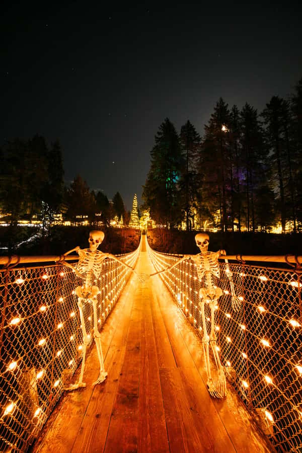 Vancouver: Capilano Bridge, Cleveland Dam & Lynn Canyon Tour - Price and Value: Why $136 Can Make Sense
