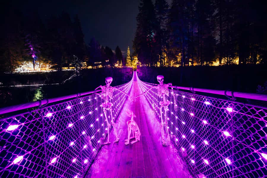 Vancouver: Capilano Bridge, Cleveland Dam & Lynn Canyon Tour - What to Bring, What to Expect, and How to Stay Comfortable