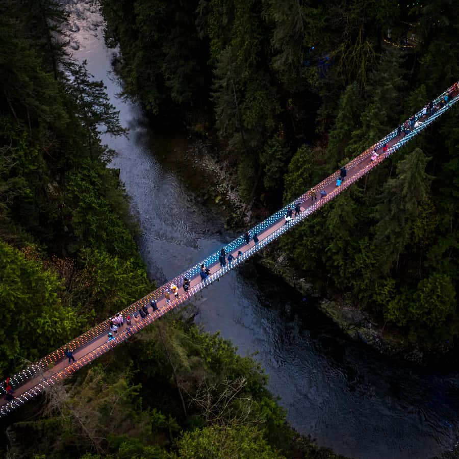 Vancouver: Capilano Bridge, Cleveland Dam & Lynn Canyon Tour - Capilano Suspension Bridge Park: Cliffwalk and Treetops Views