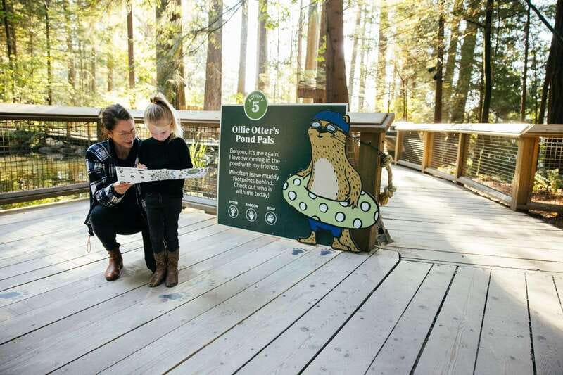 Vancouver: Capilano Suspension Bridge Park Ticket - Who should book Capilano Suspension Bridge Park?