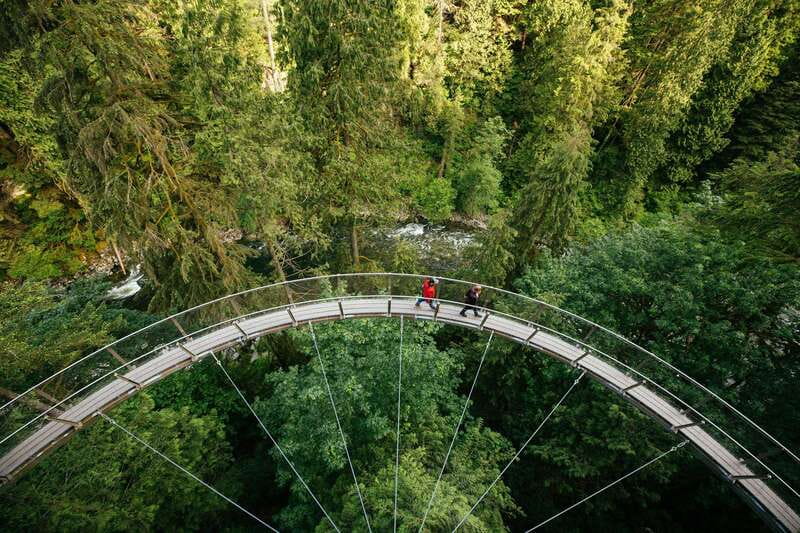 Vancouver: Capilano Suspension Bridge Park Ticket - Treetops Adventure: the rainforest from a squirrel’s-eye view